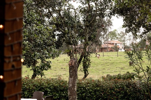 Modern and Natural in Villa de Leyva 71 INUS LIFE