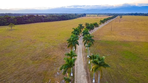 Luxurious Hacienda with Pool 30 INUS LIFE