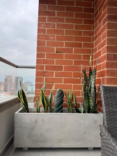 Amazing 3 BR apto in Poblado 23 My Places