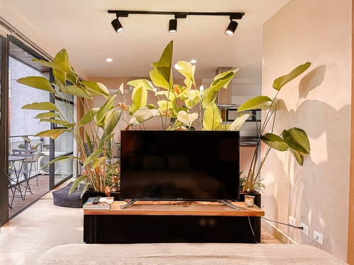 Fresh, modern, populated loft close to everything! 6 My Places