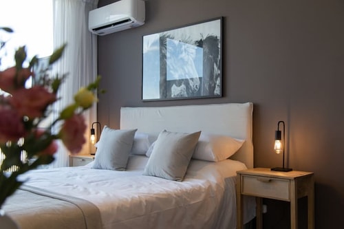 Nerine Amazing Studio