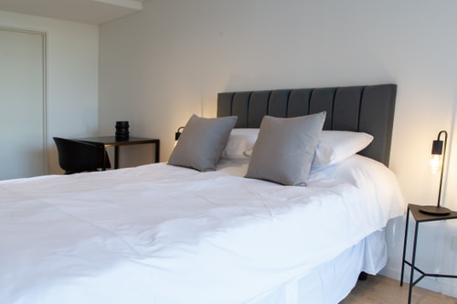 Olmo Deluxe Loft Apartment