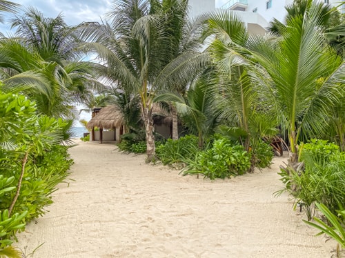 NIKTE: Peace, Design, King Luxury Retreat