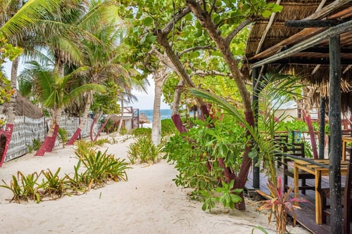 Unique Beach Front Cabin - Arrecife 27 Solmar Rentals