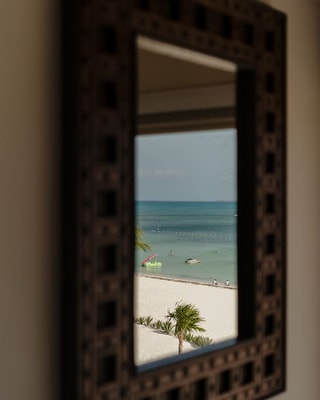 Captivating Beachfront Villa w/ Infinity Pool 8 Solmar Rentals
