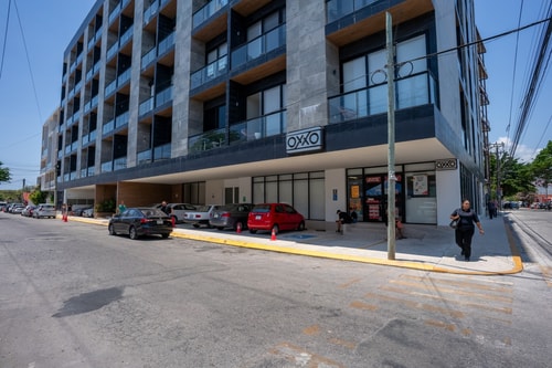 Musa del Carmen- 5th Avenue Modern Apt w/ Rooftop 45 Solmar Rentals