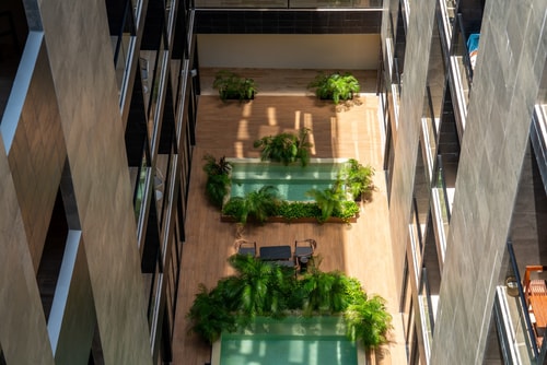 Musa del Carmen- 5th Avenue Modern Apt w/ Rooftop 20 Solmar Rentals