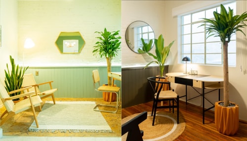 2BR apartments in Condesa, near Park