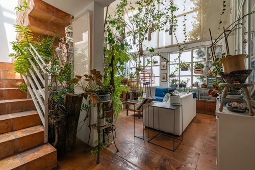 Artist's Atelier | Roma 3BR Orchid House
