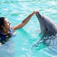 Noelia