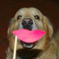 Rebeca