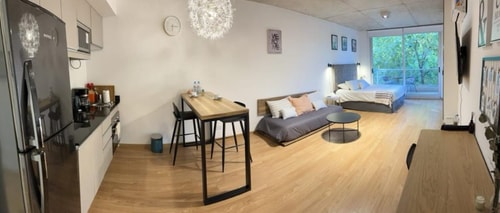 Beautiful Brand New Studio in Palermo Hollywood