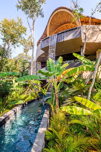 Private pool without stairs · 1BR · Selva Tulum