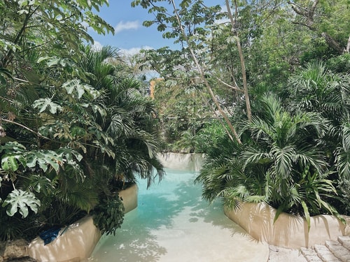 3 Albercas Gimnasio Jacuzzi