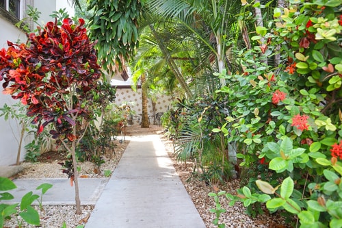 "Spacious Room with Two Double Beds" 14 El Corazon del Caribe