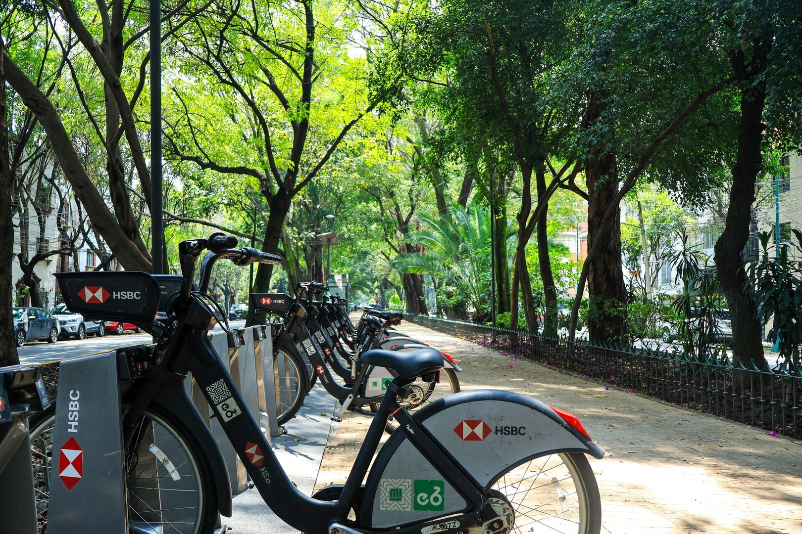 Casa Texotli en La Condesa — para +16 72 kasavahomes.com