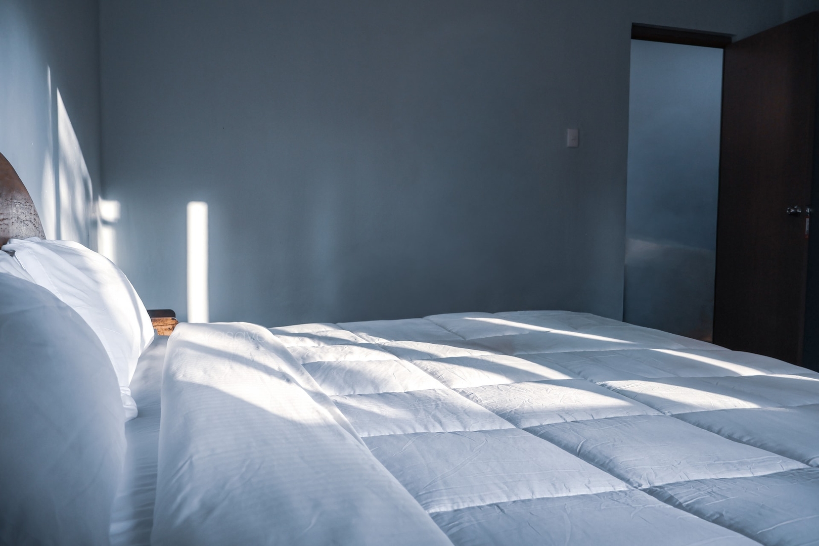 The Blueblooded Home in La Condesa 14 kasavahomes.com