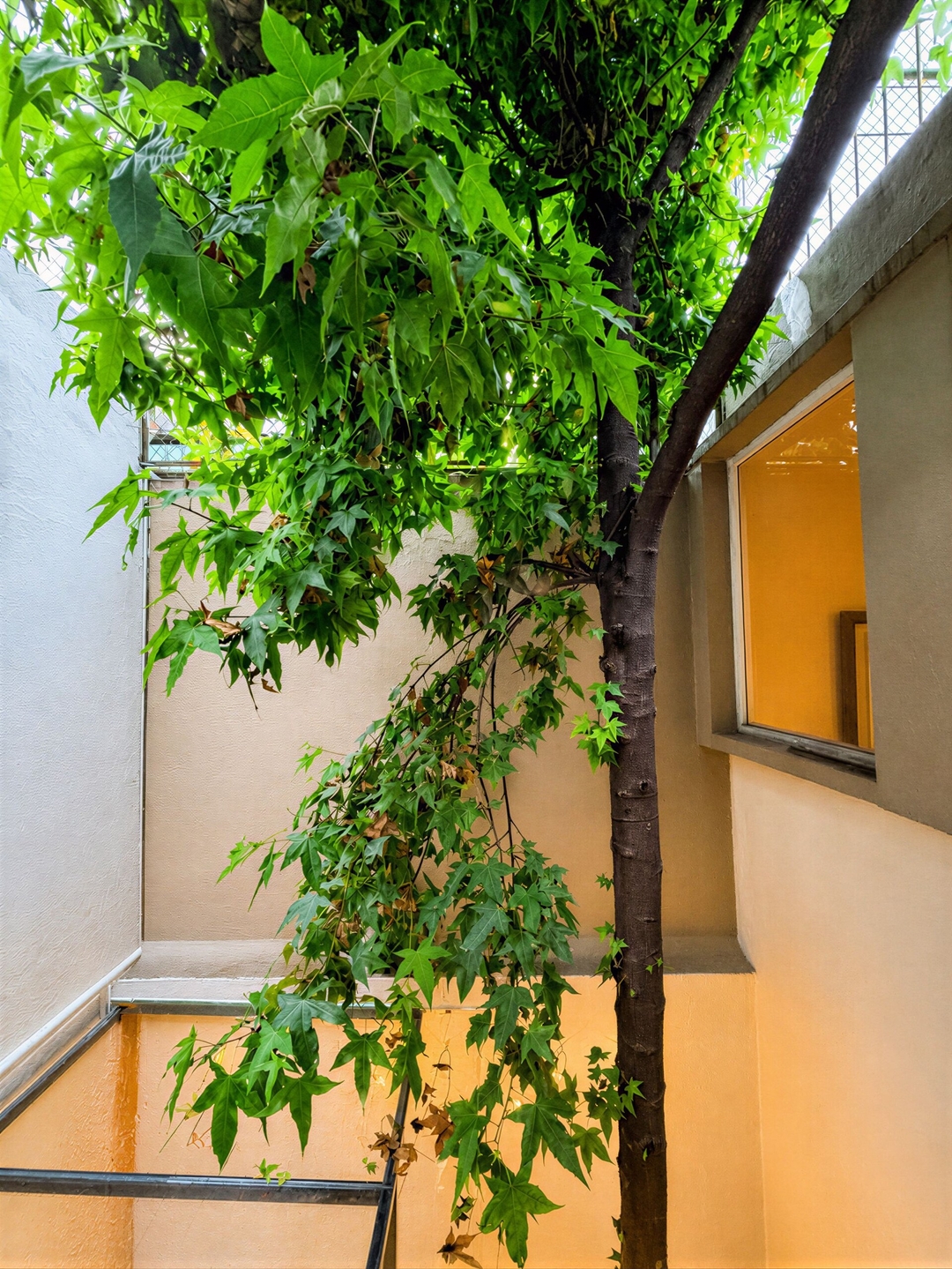 Design-Led Roma House · 8 BR, Sleeps 16 10 kasavahomes.com