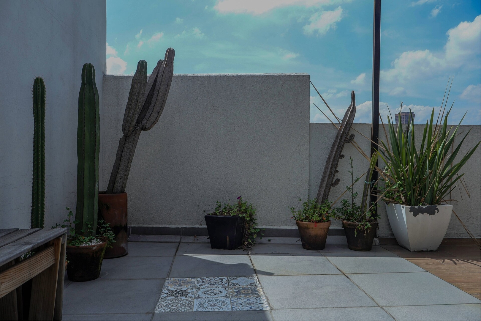 Skyline Kasava: PH de 4 hab. y 3 baños en la Roma 81 kasavahomes.com