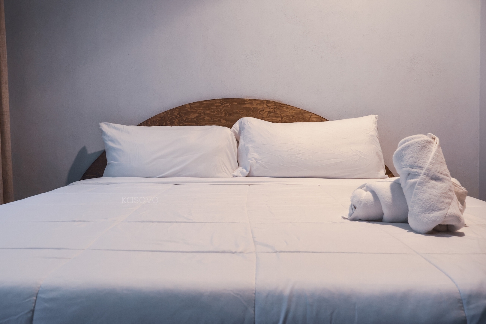 The Blueblooded Home in La Condesa 28 kasavahomes.com