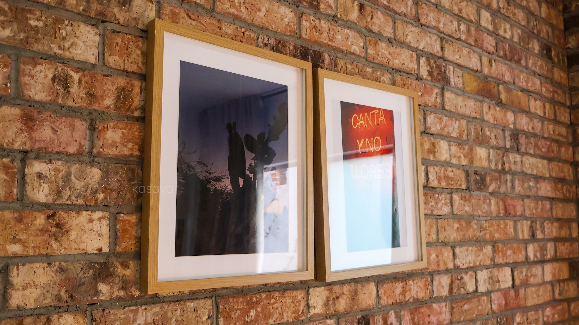 Kasava's Getaway to CDMX — depa en Alfonso Reyes 3 kasavahomes.com