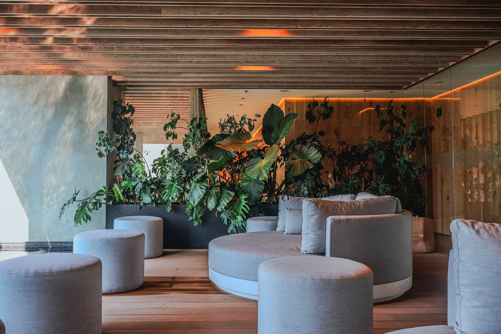 Reforma Views @UniversityTower Trendy “CondoHotel” 52 kasavahomes.com