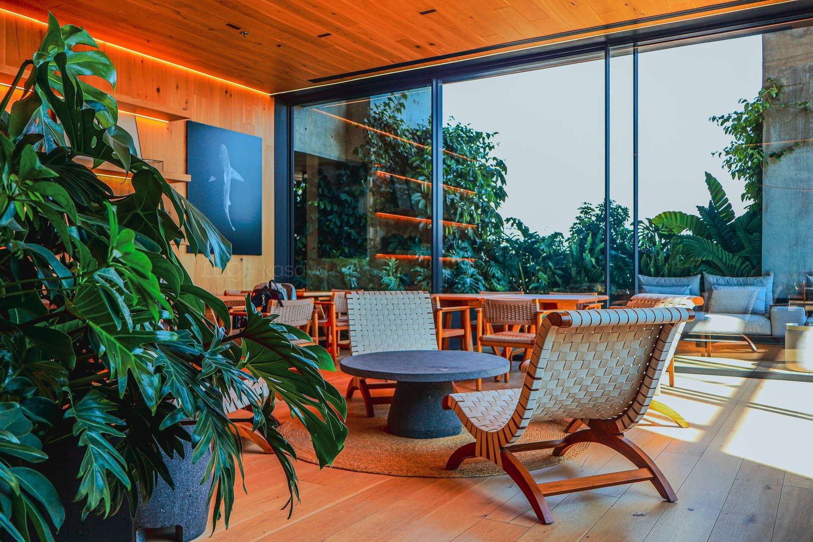 Reforma Views @UniversityTower Trendy “CondoHotel” 43 kasavahomes.com