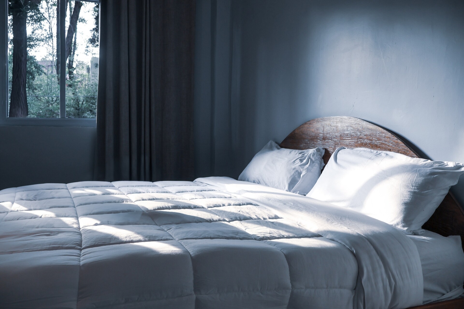 The Blueblooded Home in La Condesa 18 kasavahomes.com