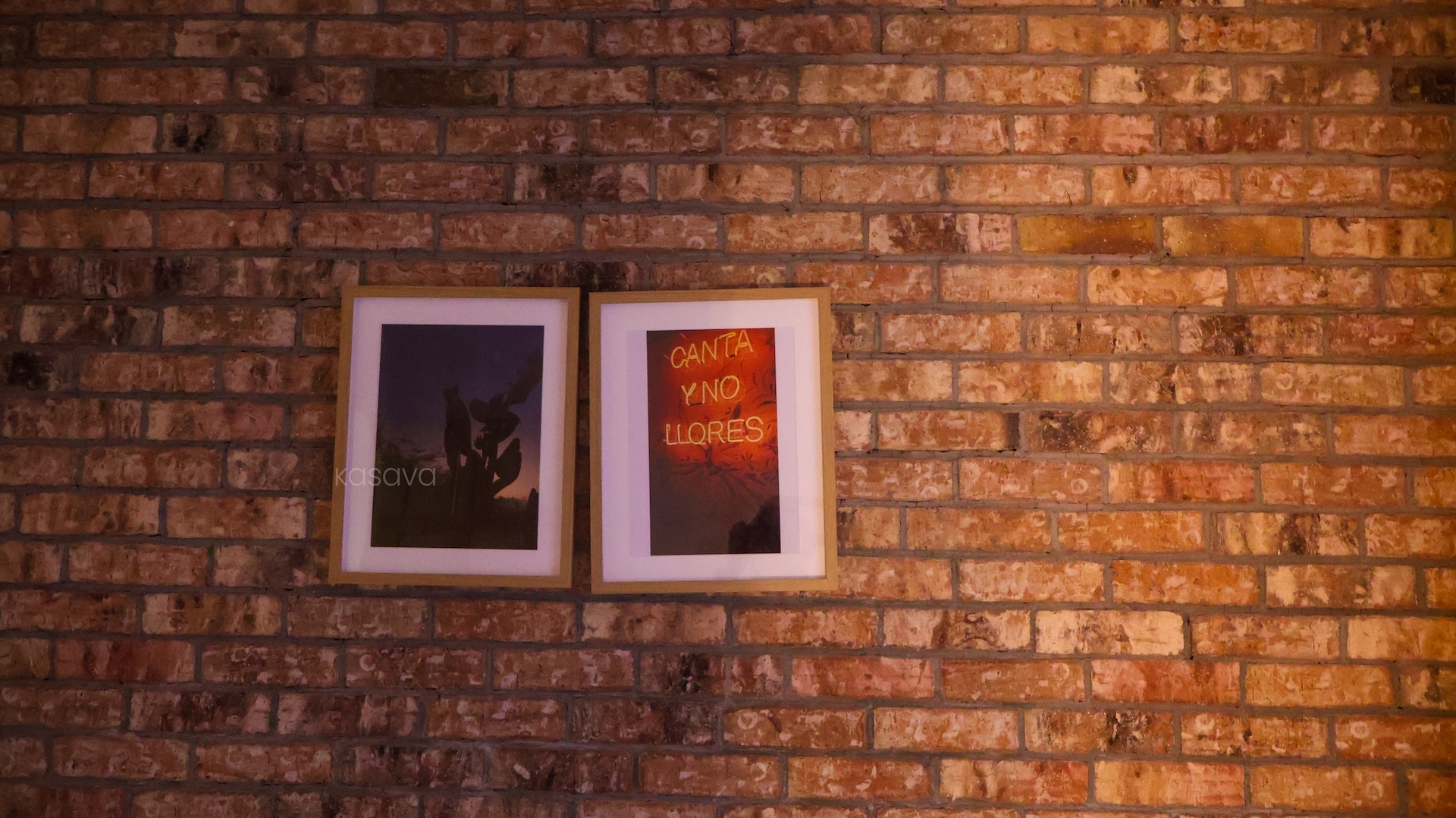 Kasava's Getaway to CDMX — depa en Alfonso Reyes 63 kasavahomes.com