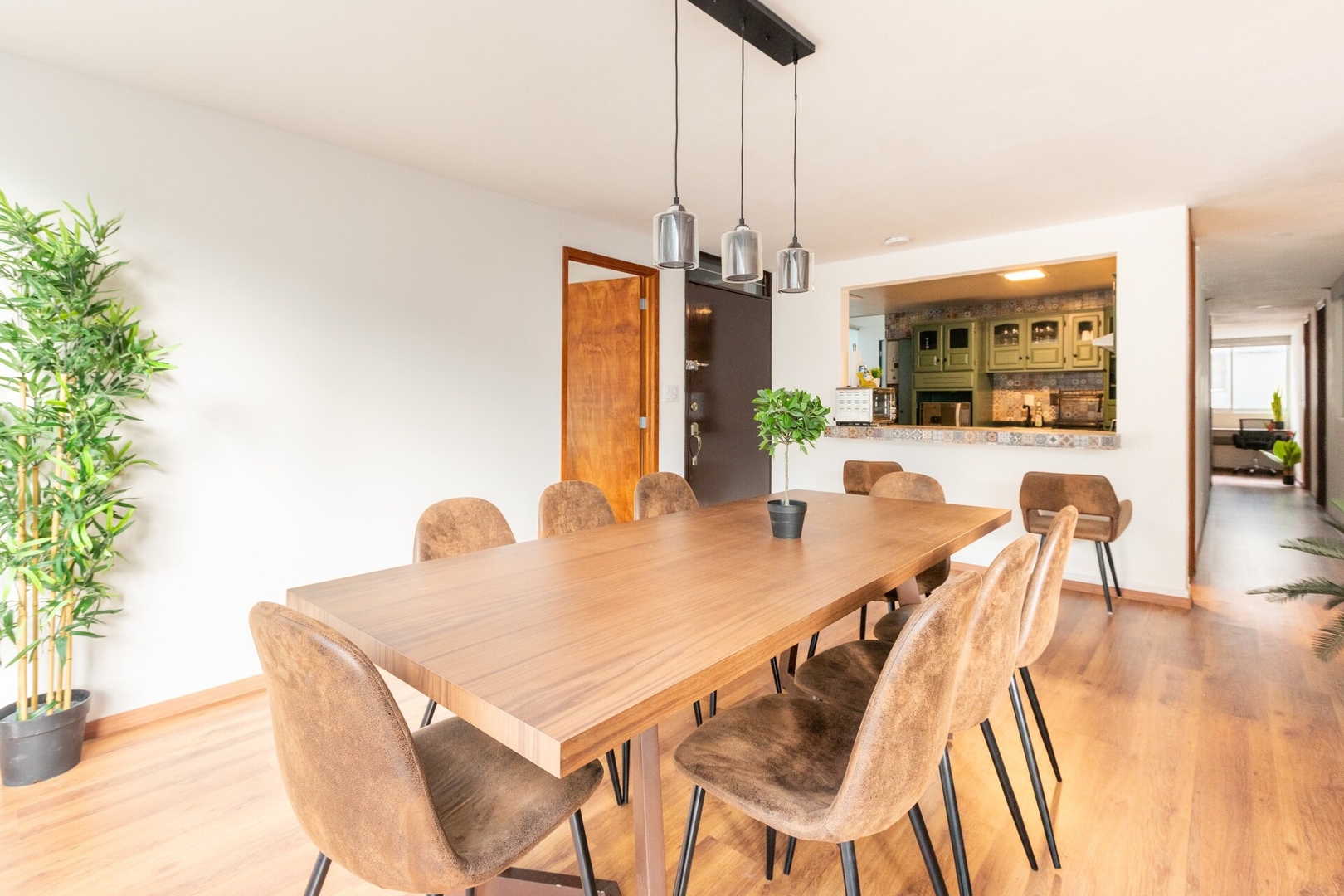 Discover Bliss in This 5-Bedroom Gem in Condesa 41 kasavahomes.com