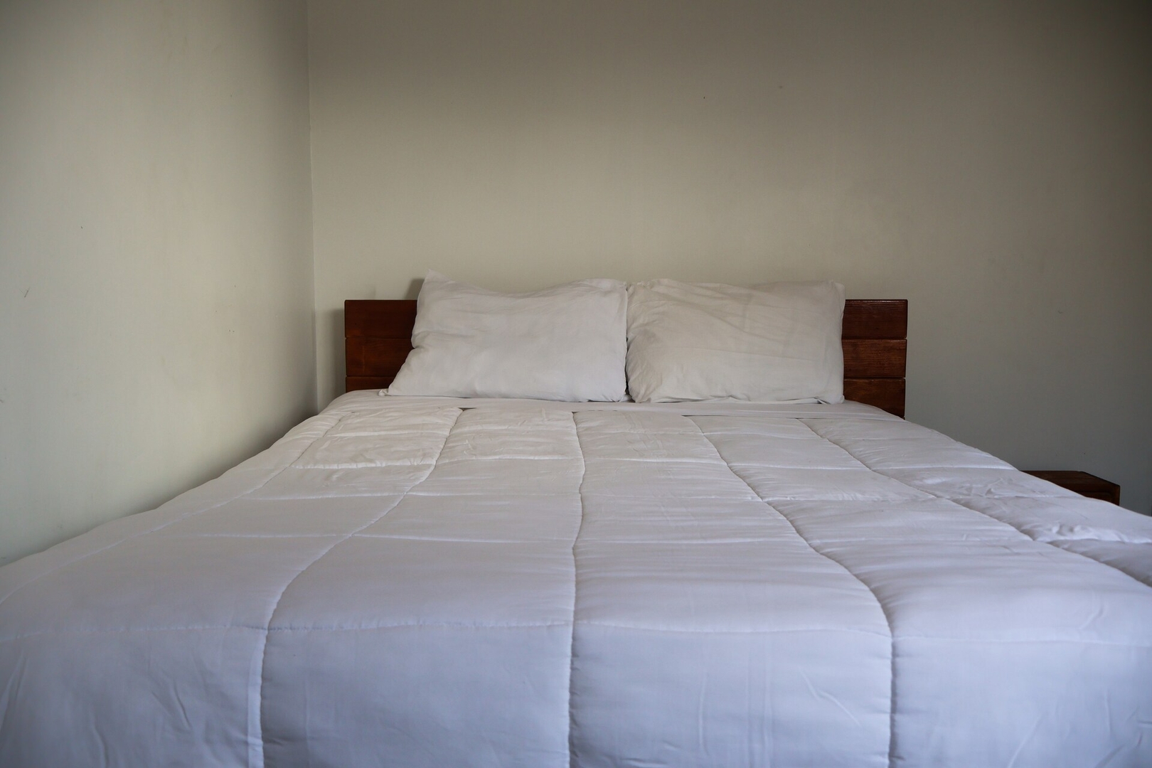 El PH de Kasava—en el corazón vibrante de la CDMX 10 kasavahomes.com