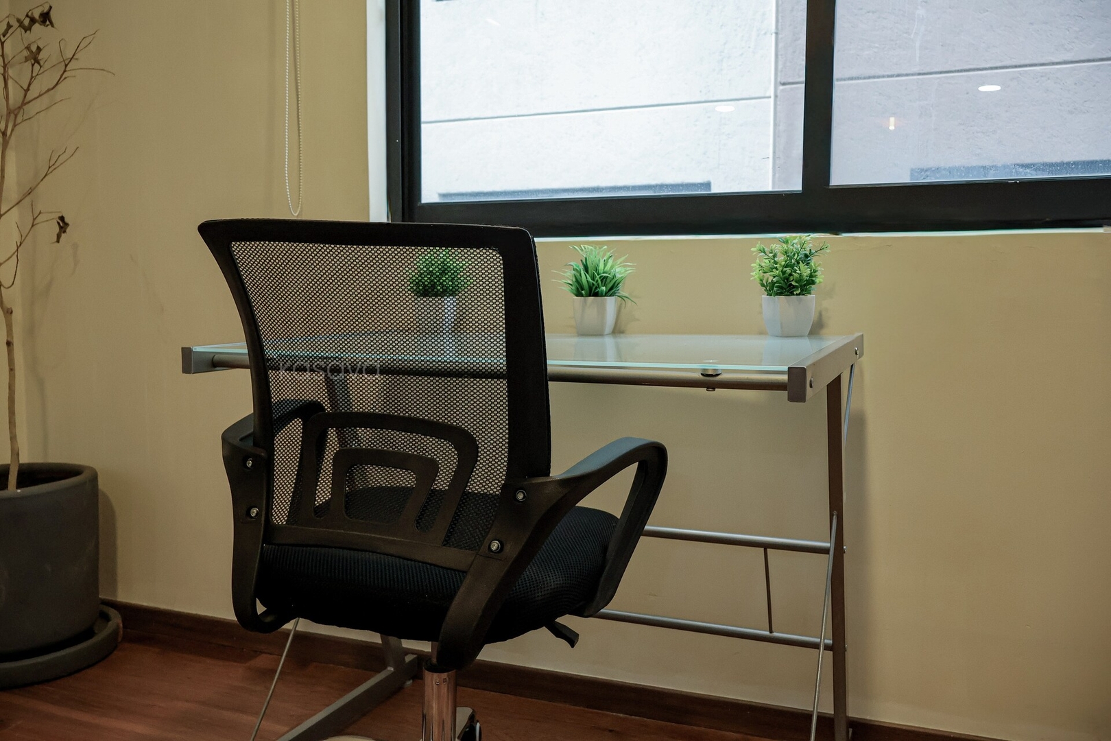 San Rafael Place at Kasava: depa de dos recámaras 19 kasavahomes.com