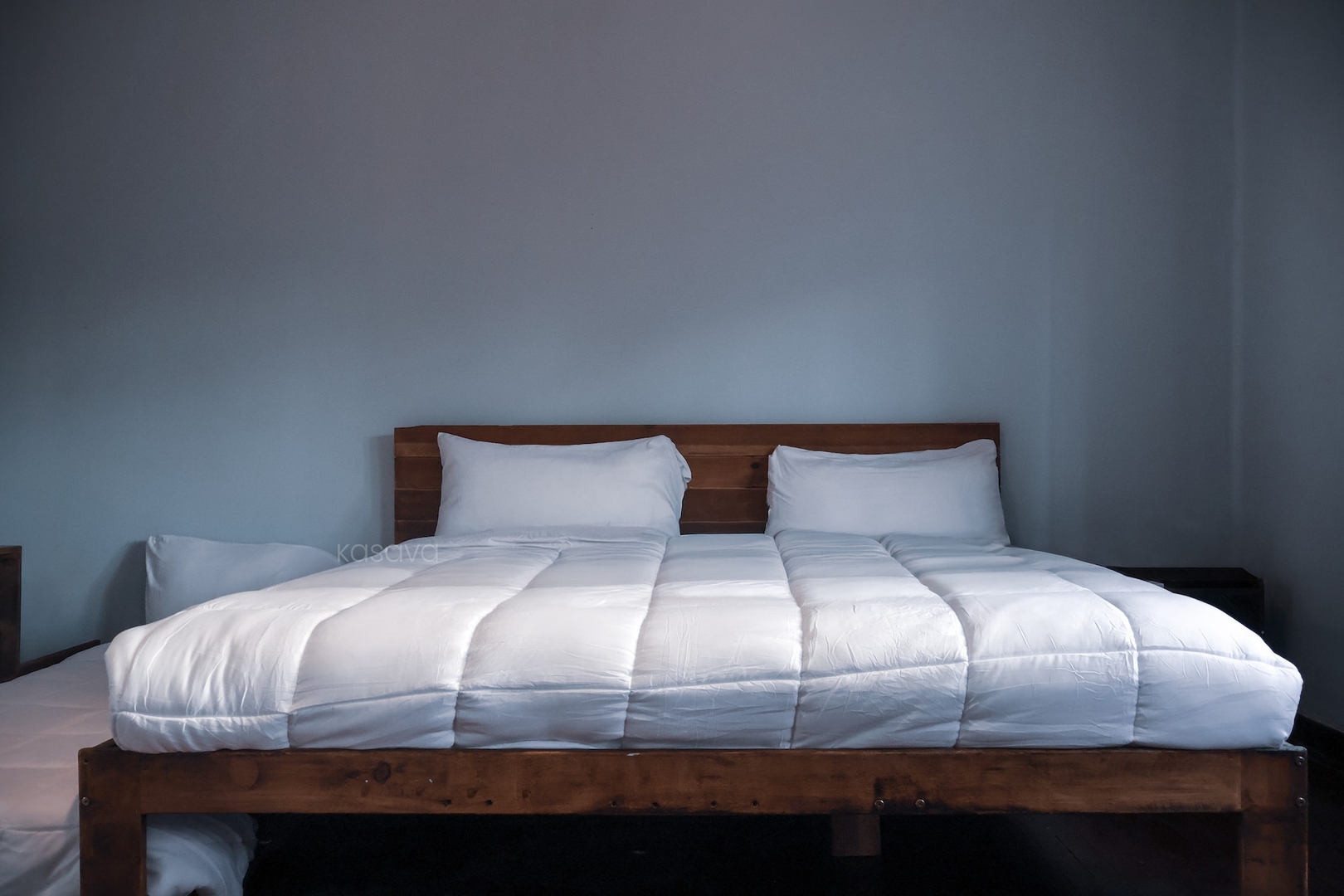 The Blueblooded Home in La Condesa 12 kasavahomes.com