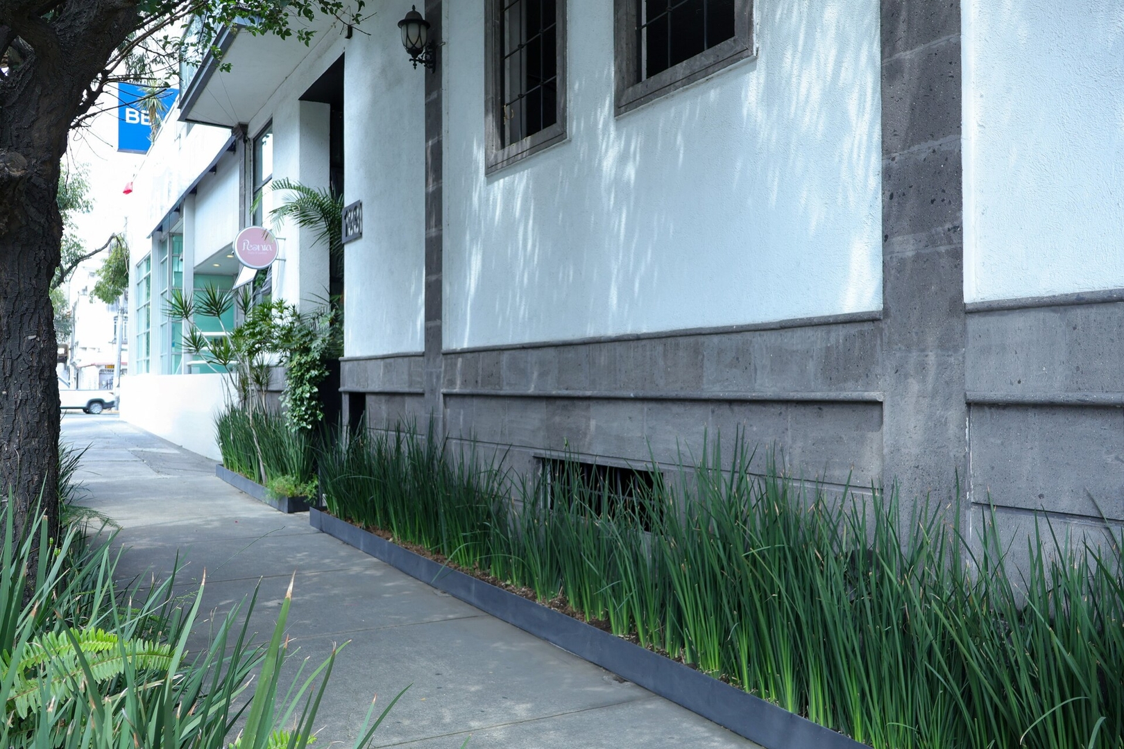 Skyline Kasava: PH de 4 hab. y 3 baños en la Roma 75 kasavahomes.com