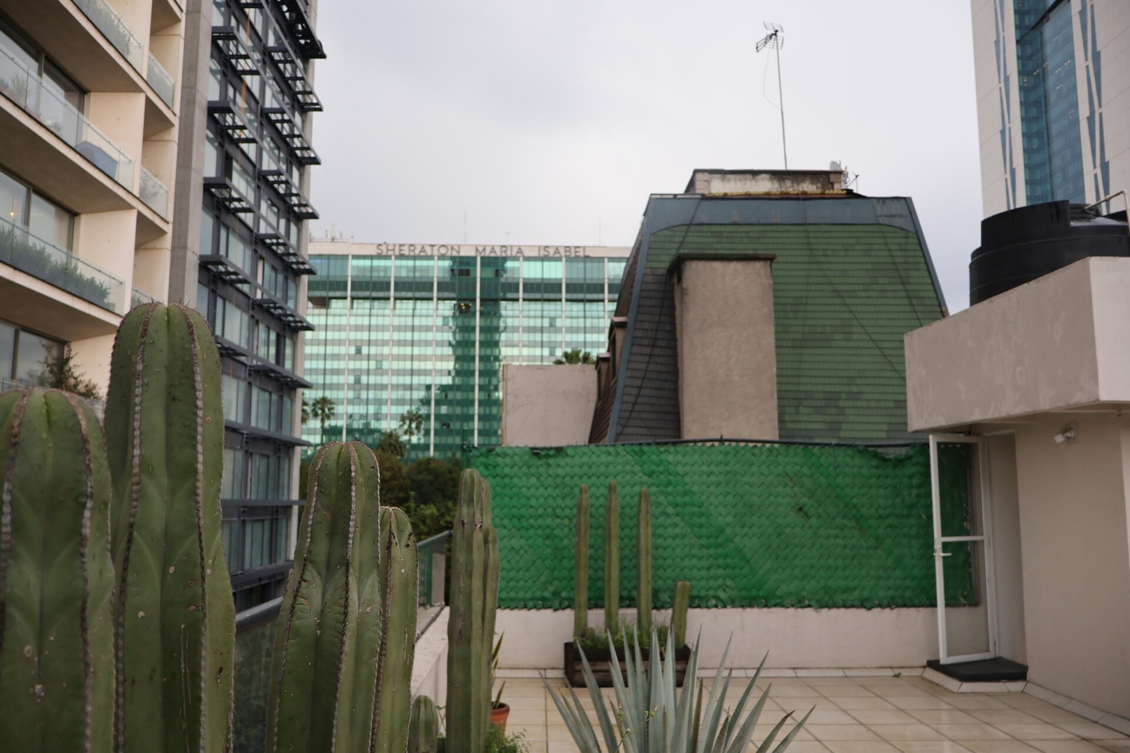 Reforma’s by Kasava: 3 hab. en PB por El Ángel 62 kasavahomes.com