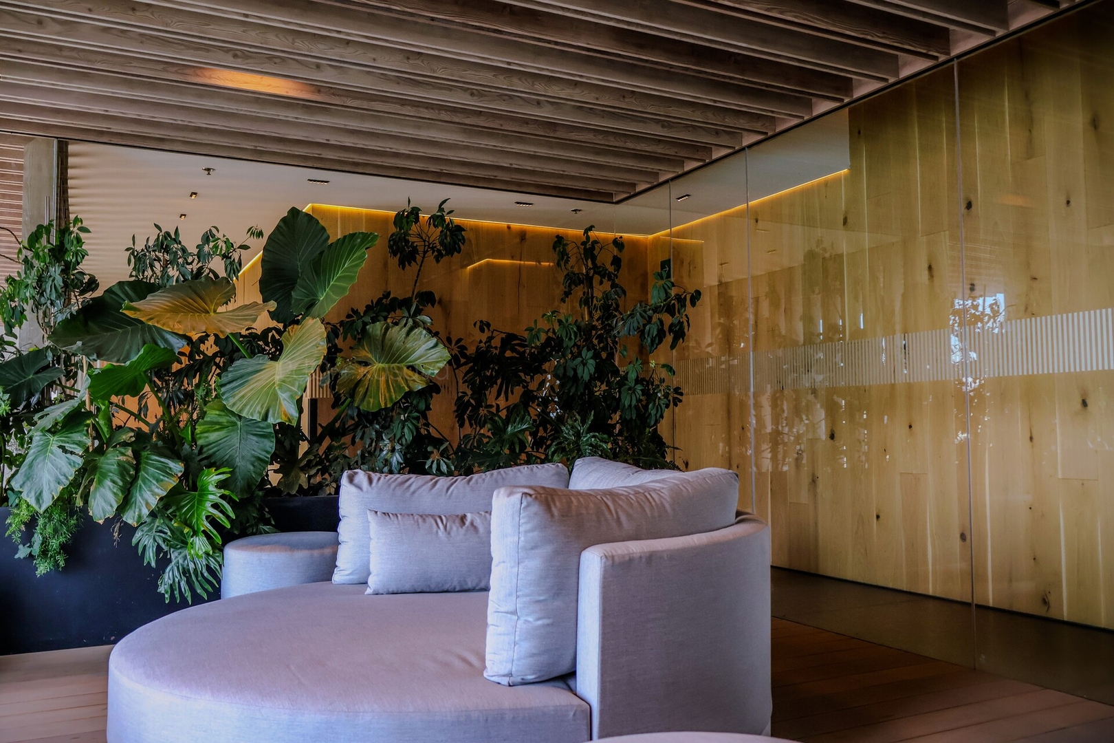 Reforma Views @UniversityTower Trendy “CondoHotel” 49 kasavahomes.com