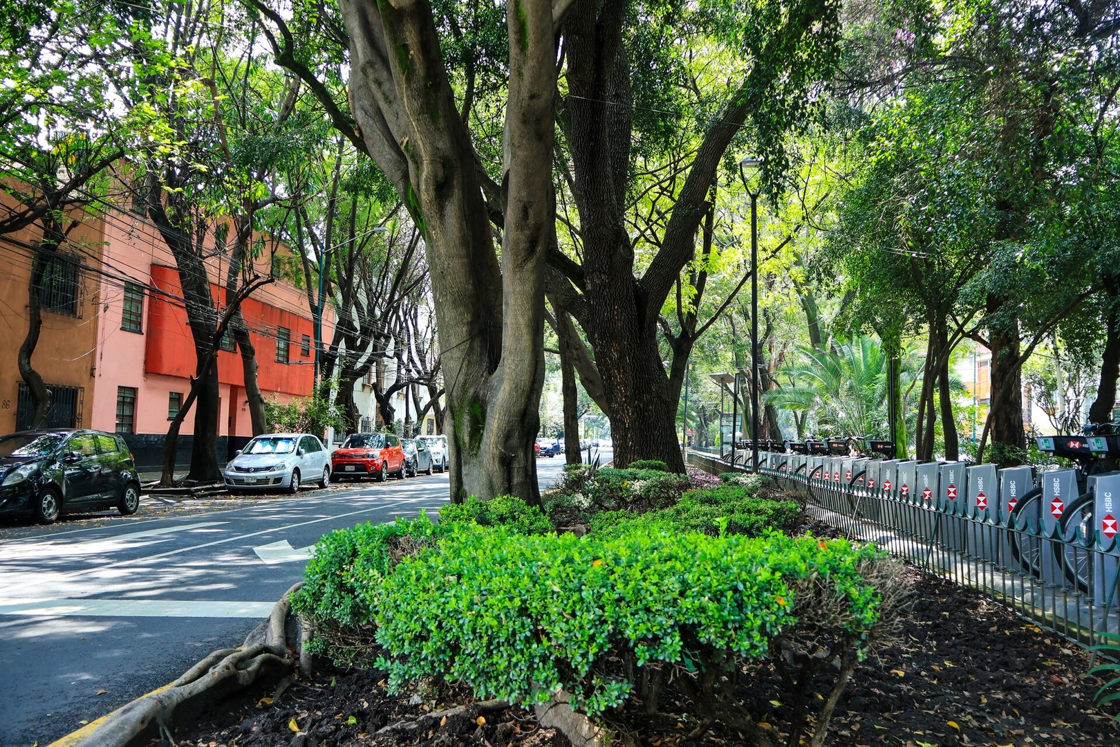 Casa Texotli en La Condesa — para +16 43 kasavahomes.com