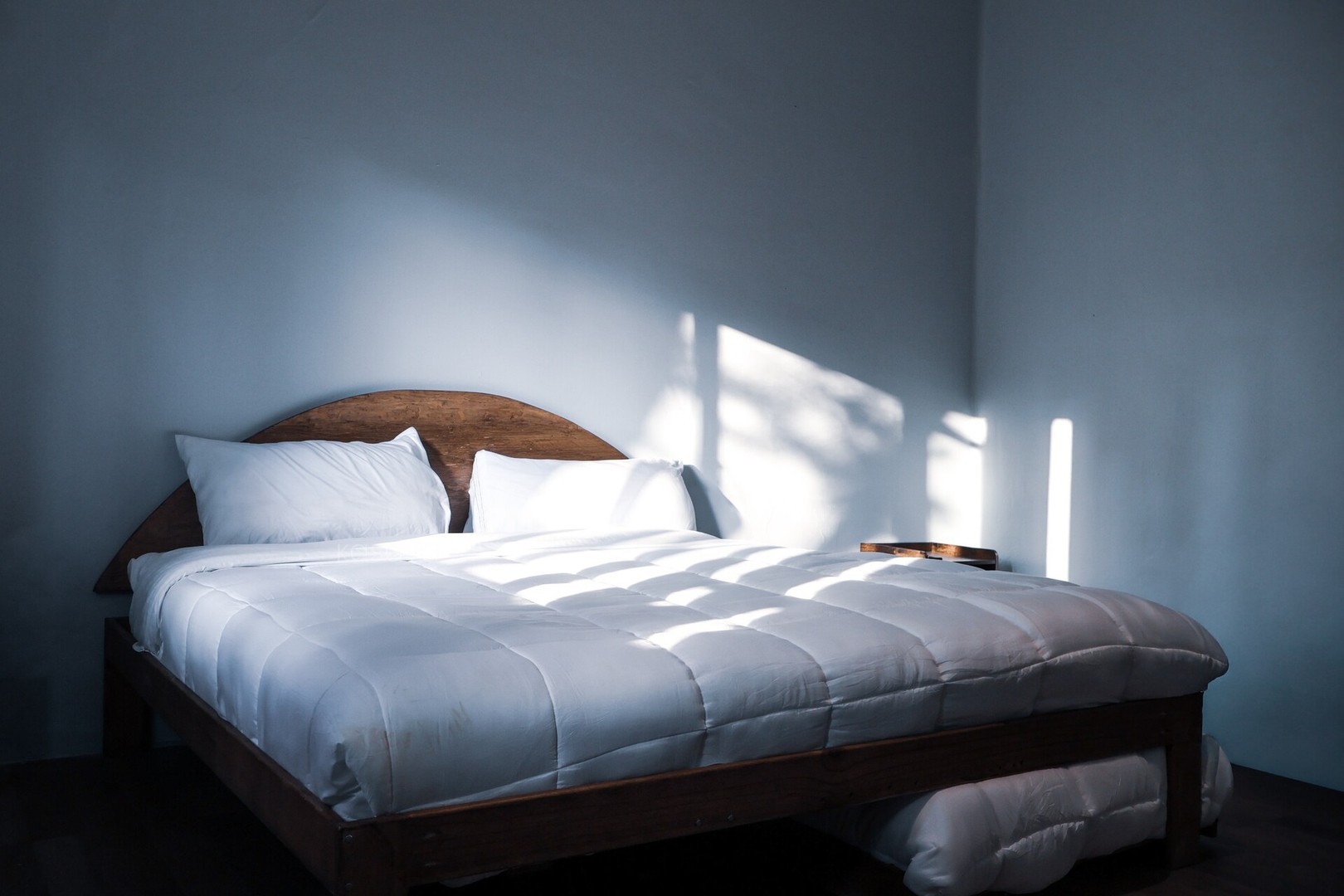 The Blueblooded Home in La Condesa 17 kasavahomes.com