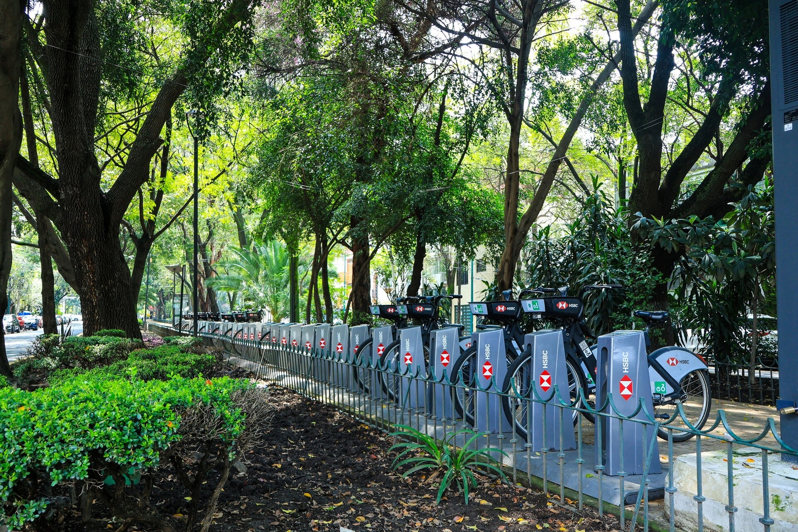 Casa Texotli en La Condesa — para +16 2 kasavahomes.com