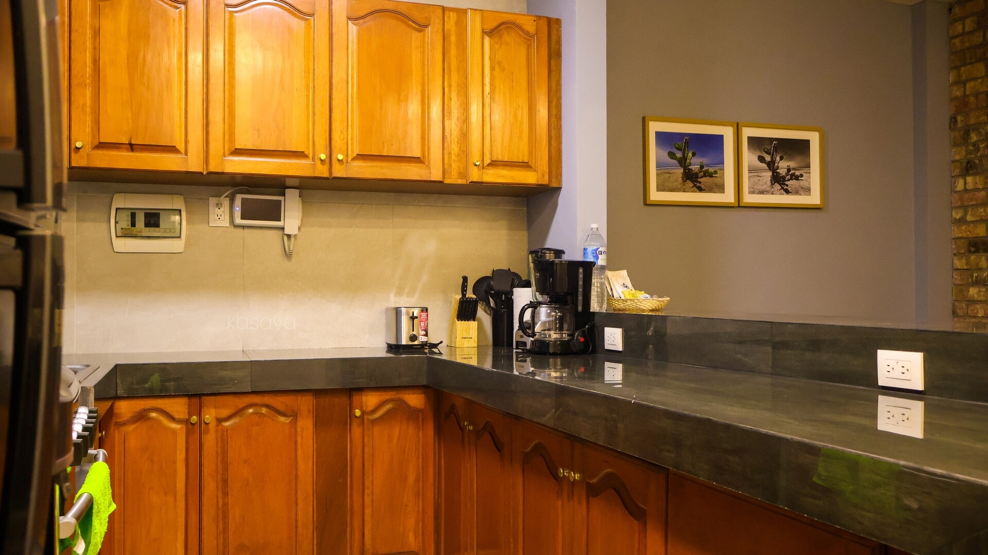 Kasava's Getaway to CDMX — depa en Alfonso Reyes 6 kasavahomes.com