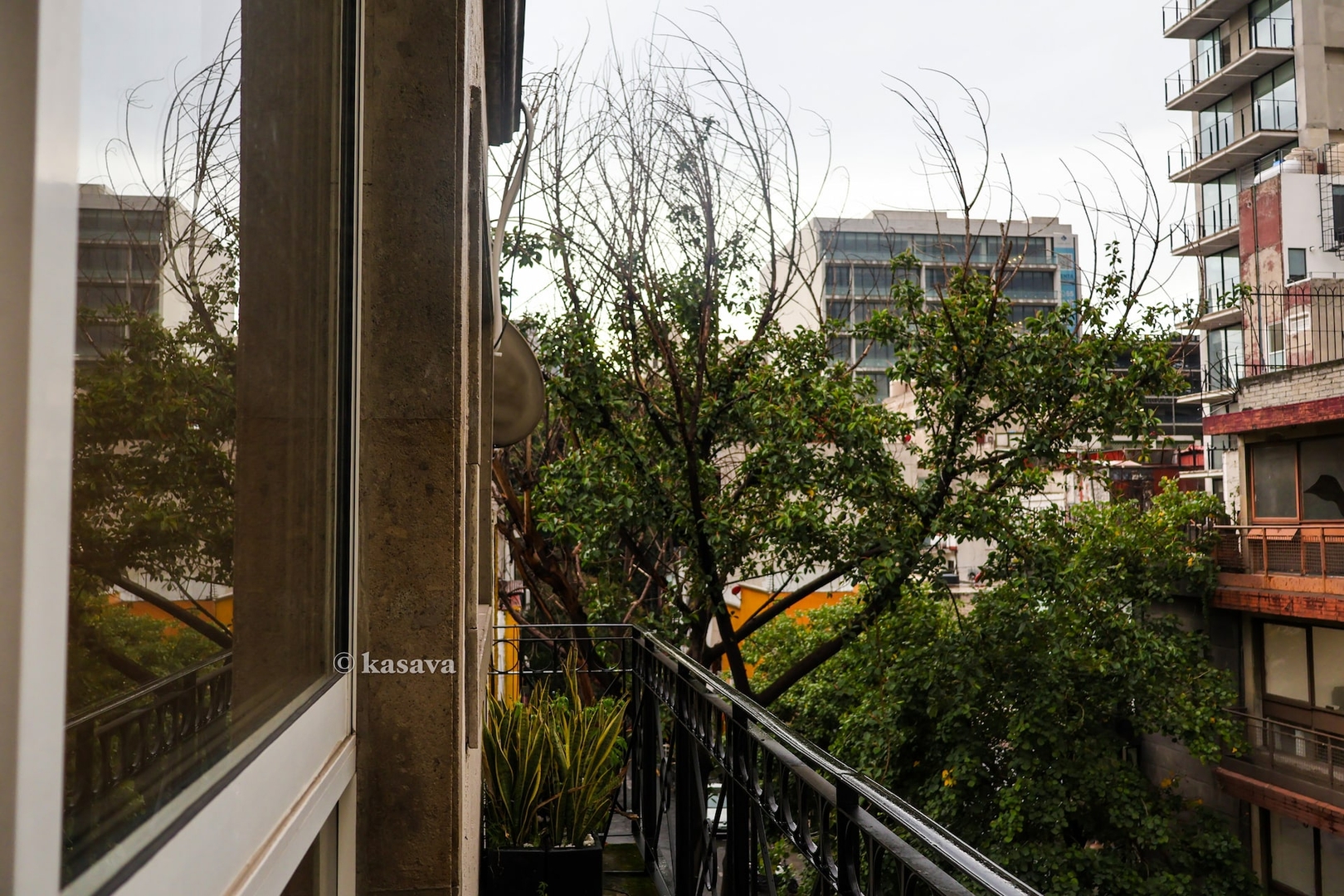 Reforma’s by El Ángel: 4 hab. en Zona Rosa 5 kasavahomes.com