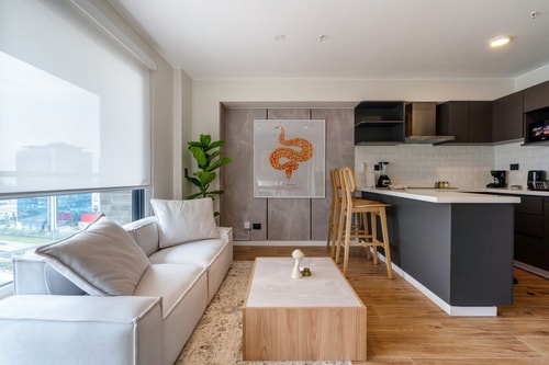 geko| Python _Loft, focus & confort in San Isidro