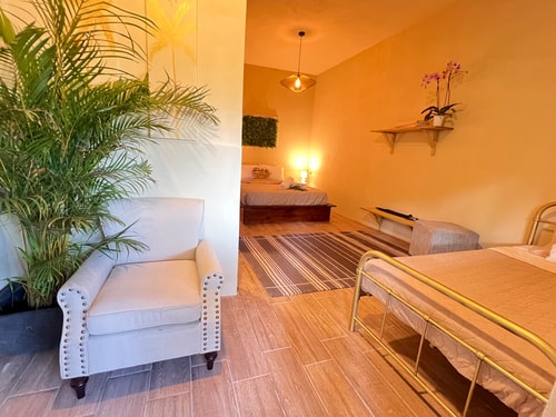 Wildlife spotting room with breakfast and parking