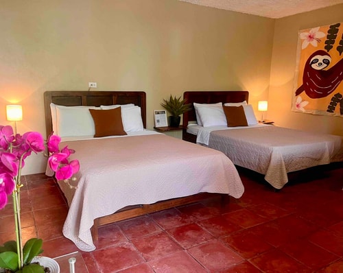 Room M3 PEREZOSO · Jungle studio w/Wildlife, AC & Delicious Breakfast