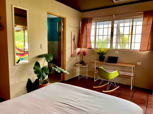 Room M1 MONO · Jungle Stay w/ Wildlife, AC, Breakfast & view