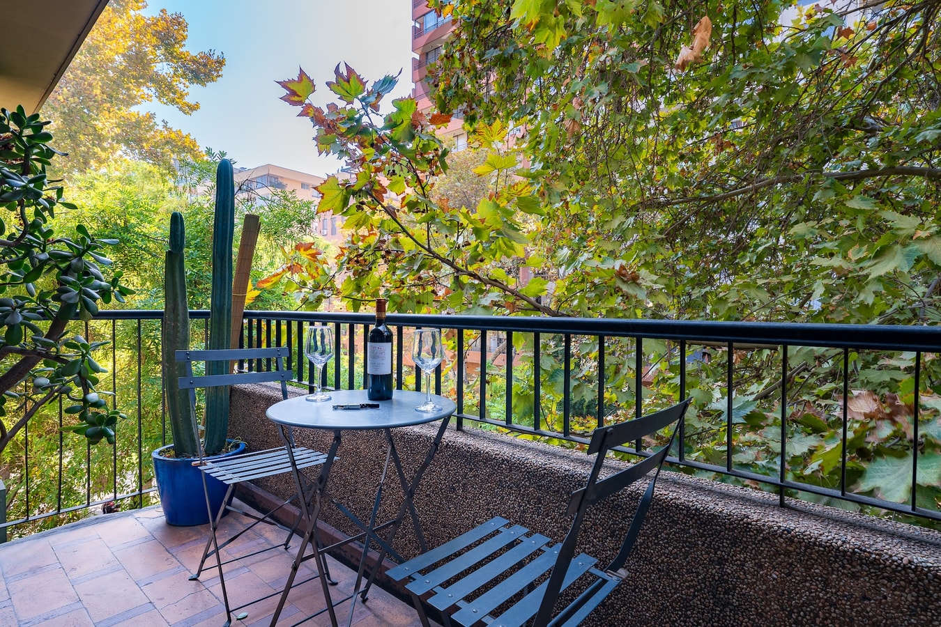 Terraza privada de suite con mesa, sillas y cactus entre follaje