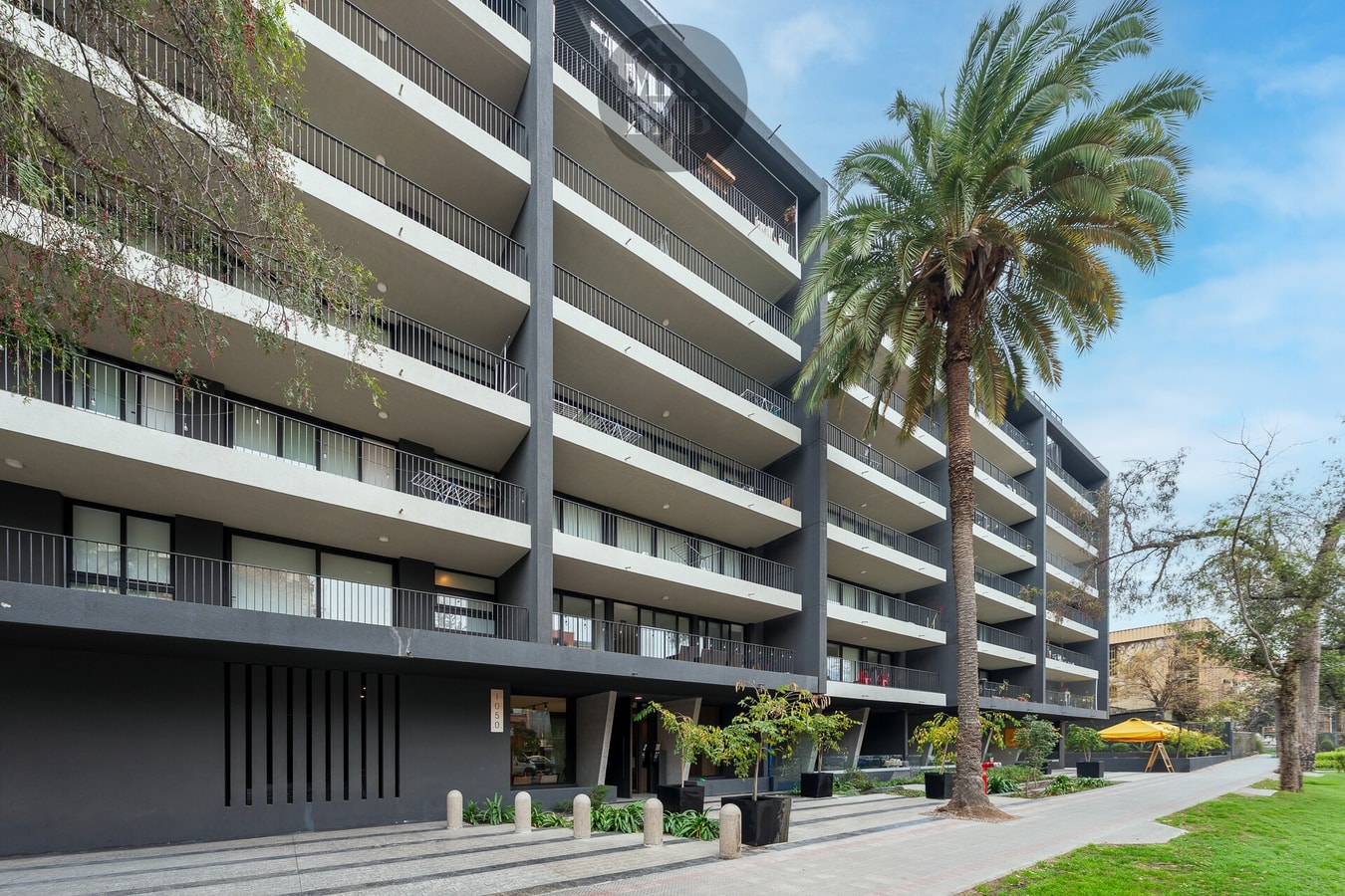 Fachada del edificio con palmera y jardines, acceso desde la vereda arbolada