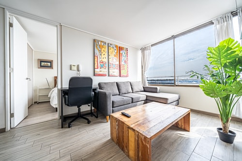 Living con sofá gris, mesa de centro, ventanales con vista y planta
