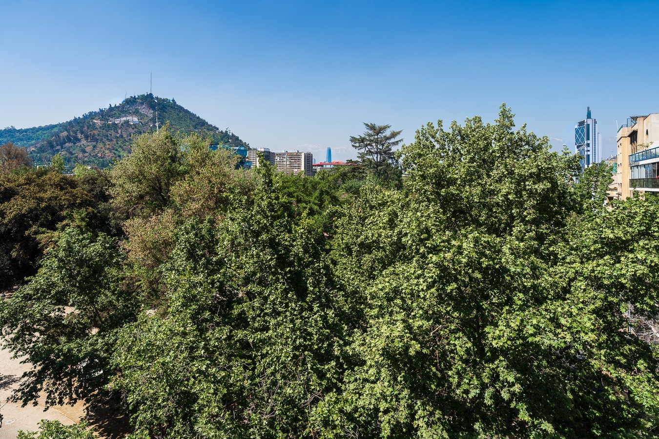 Vista desde el departamento al cerro San Cristóbal y a las copas de los árboles del parque