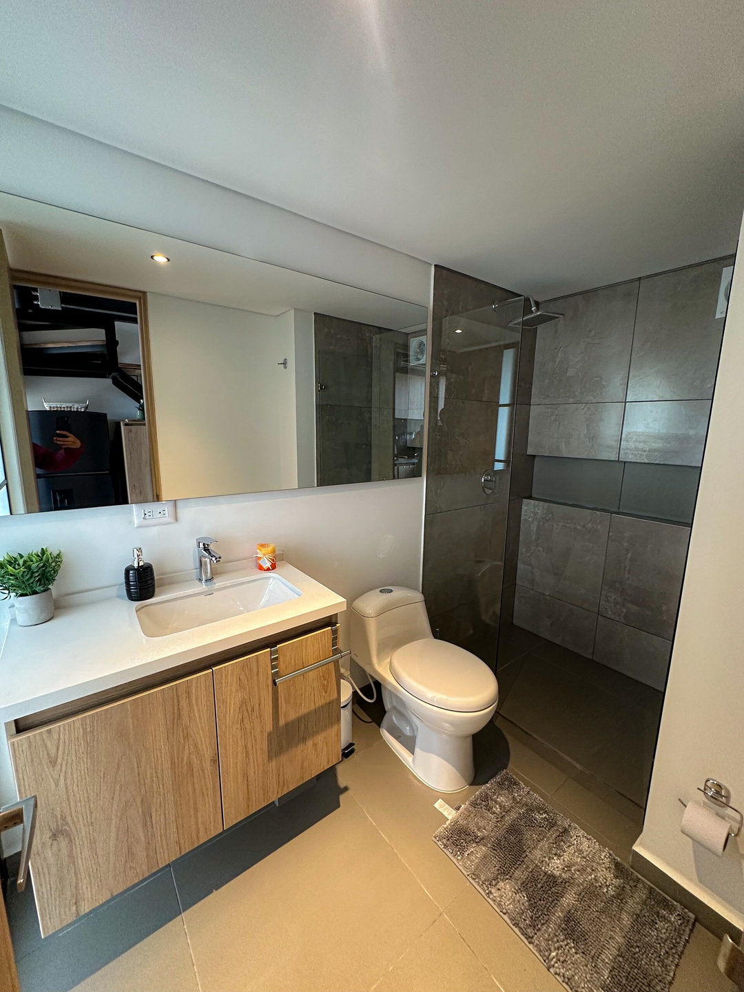 Luxury penthouse with Jacuzzi near the "T" area 18 Prorenty